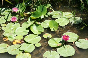 b0025850_09212.jpg