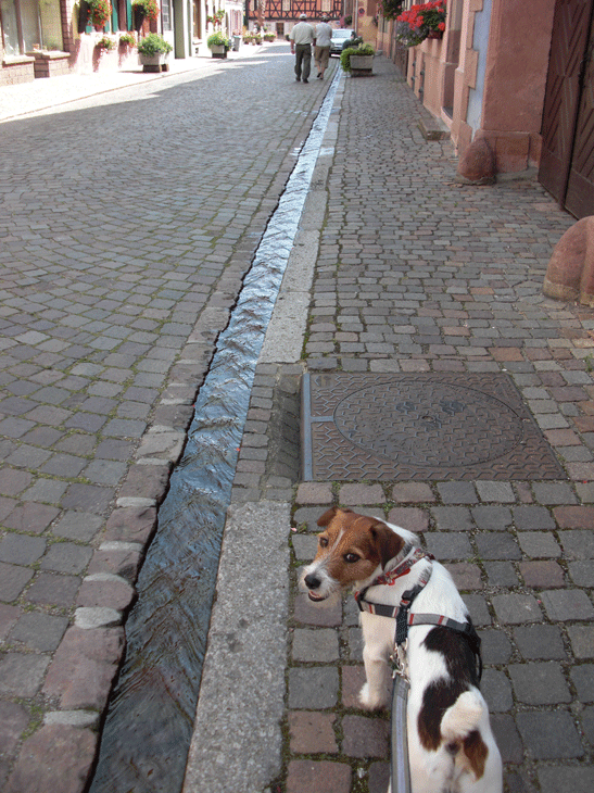 f0077150_17194757.gif