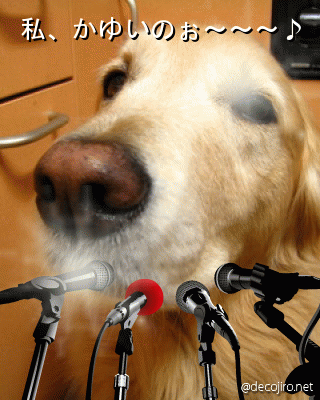 b0071654_16302584.gif