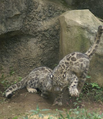 a0039366_14221055.jpg