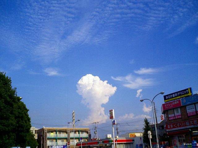 b0155973_1904565.jpg
