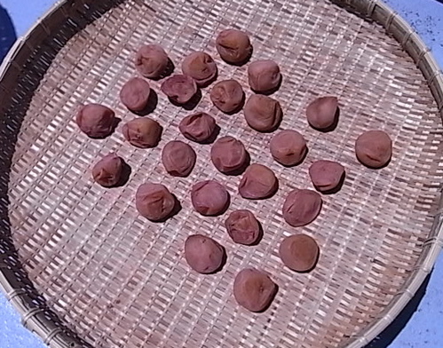 a0061977_1818786.jpg