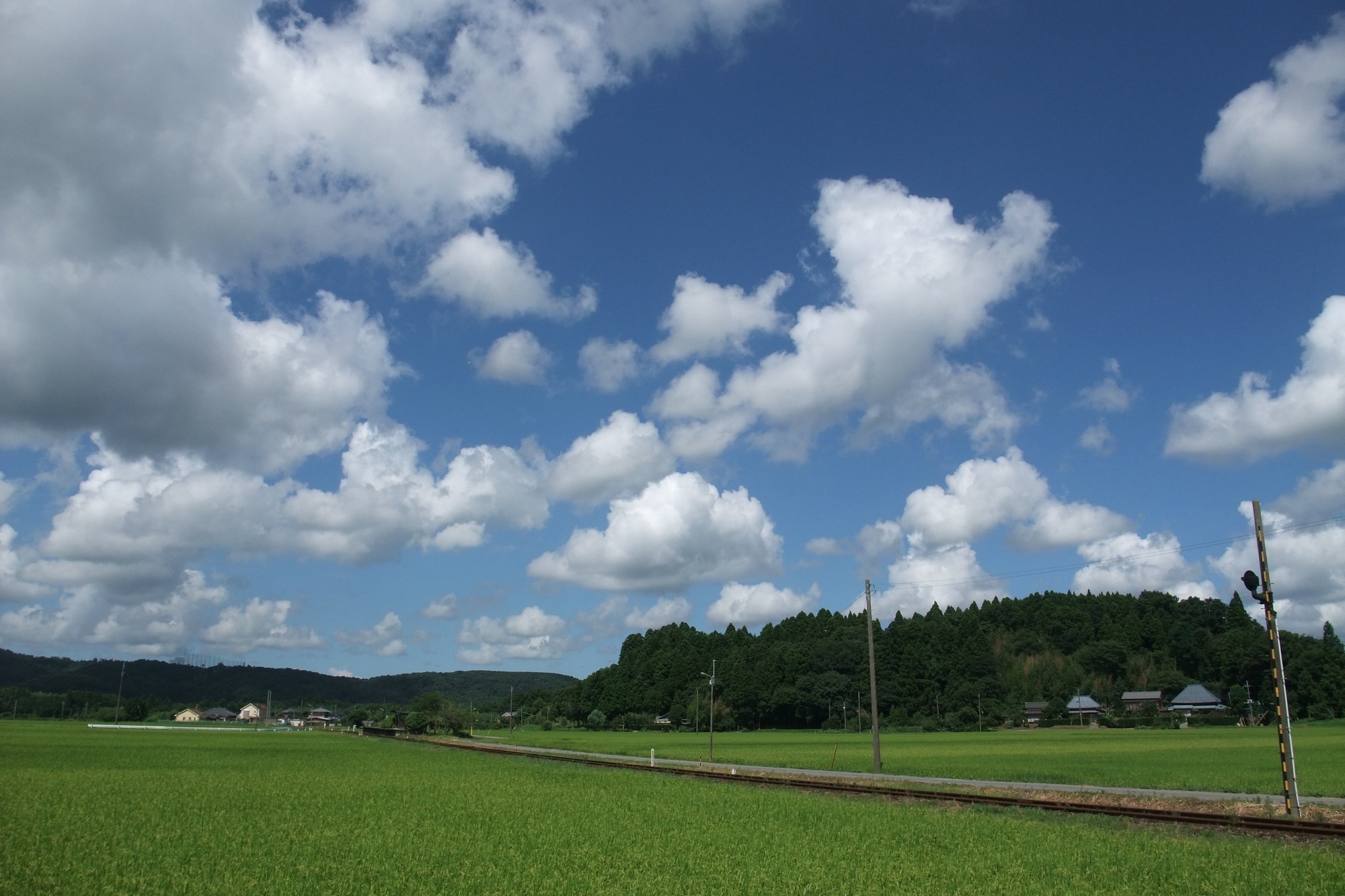 e0071178_14532434.jpg