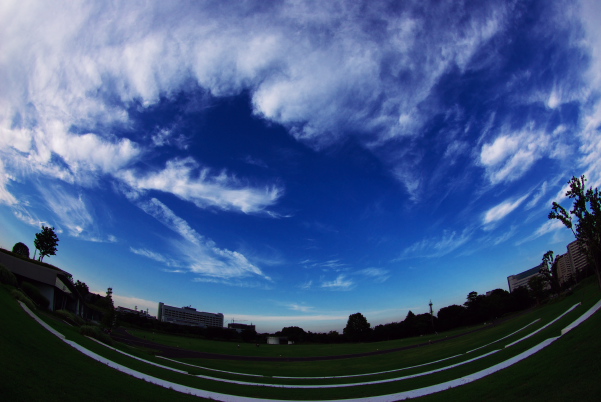 夏の日　公園にて_c0129381_0211040.jpg