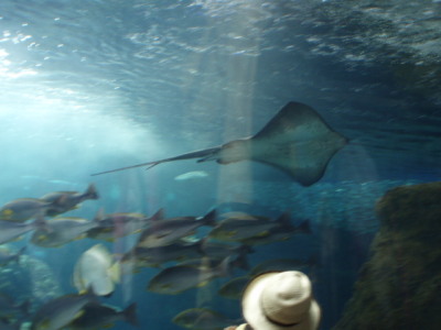 c0086895_10381895.jpg