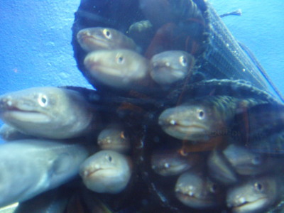 c0086895_1047263.jpg