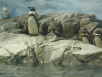 c0086895_11293173.jpg