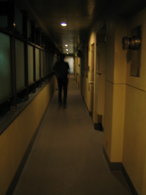 f0170995_1739633.jpg