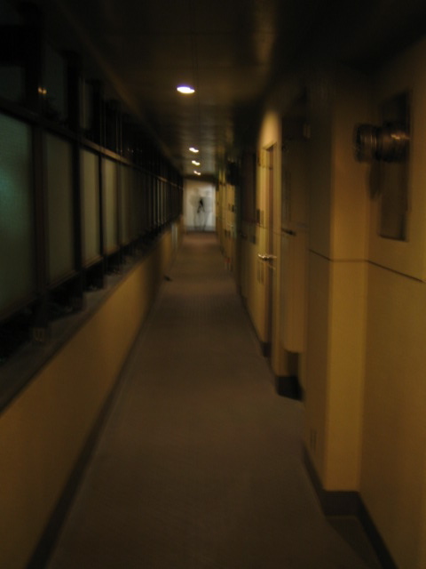 f0170995_17432582.jpg