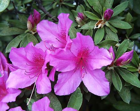 c0125004_827234.jpg