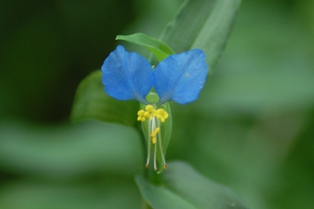 c0143411_22522182.jpg