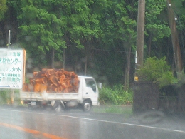 e0002820_00021.jpg