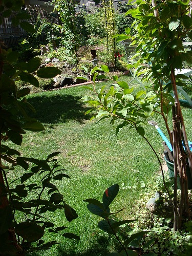f0170524_12223628.jpg
