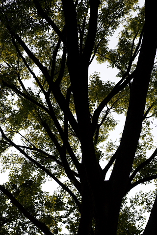 a0024250_22343625.jpg