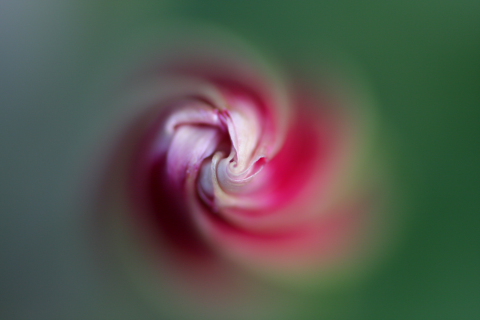 a0024250_22545027.jpg