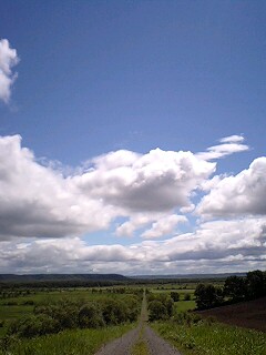 c0047856_19220100.jpg