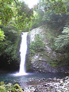 d0020358_16623.jpg