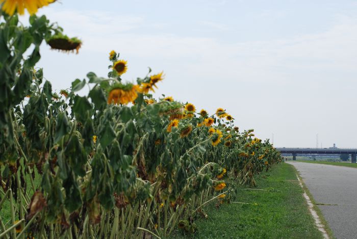 e0053660_1824829.jpg