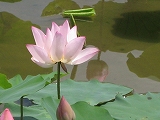 a0093965_14443769.jpg