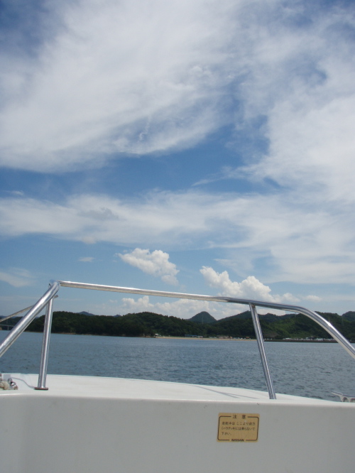 8月のシーバード_a0077071_21492015.jpg