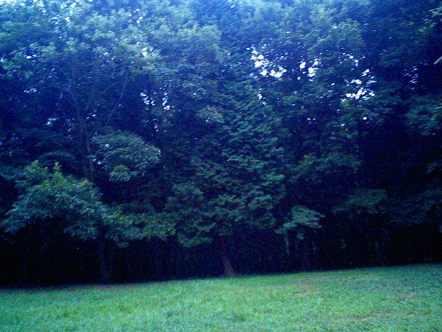 b0155973_23181771.jpg