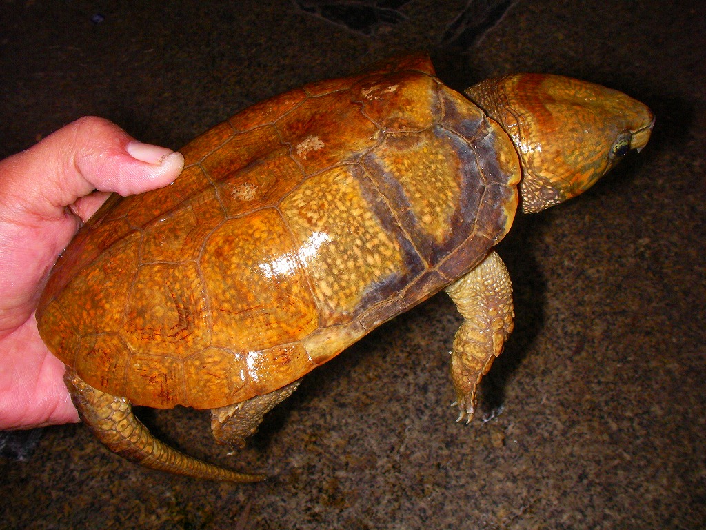 e0099576_17561267.jpg