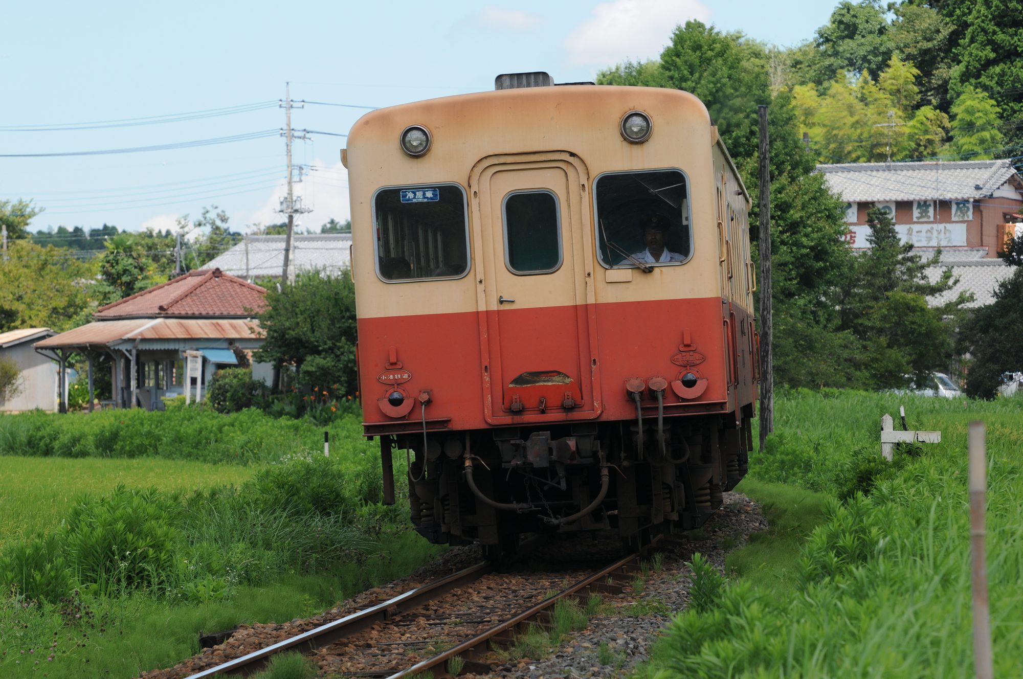 e0071178_8454354.jpg