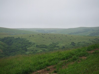 d0060082_20151834.jpg