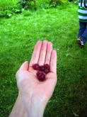 f0060585_2185236.jpg