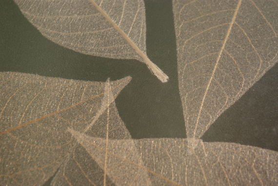 b0159790_01726.jpg