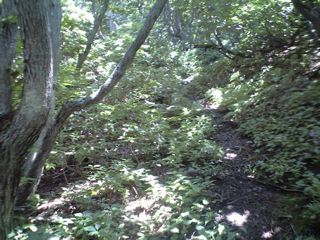 安達太良山続き_d0044191_225486.jpg