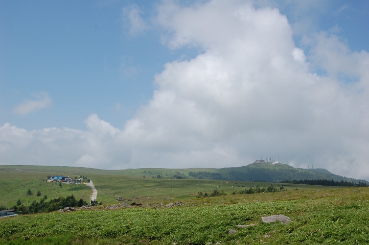 d0153294_14272033.jpg