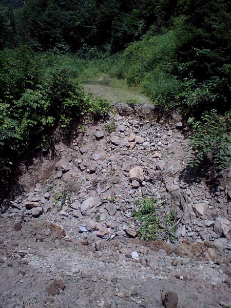 f0137496_21355348.jpg