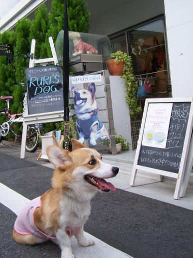 明日から夏季休業です！_c0126703_16471580.jpg