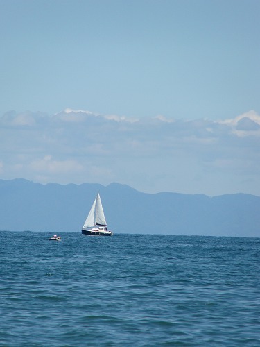 f0170524_1655522.jpg