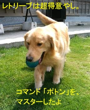 ざんしょおみまいもうしあげます。_e0065928_17201295.jpg