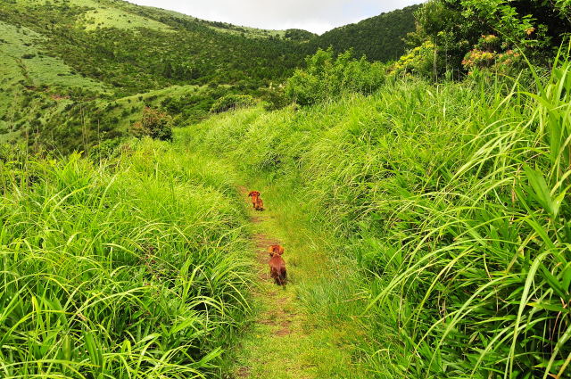 俵山へ登ったよ。_e0056537_2239164.jpg