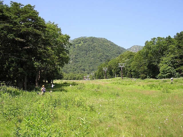 b0099538_18263842.jpg