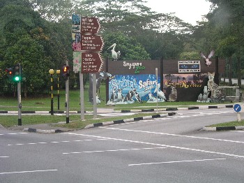 d0009738_75182.jpg
