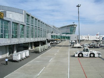 d0009738_8105333.jpg