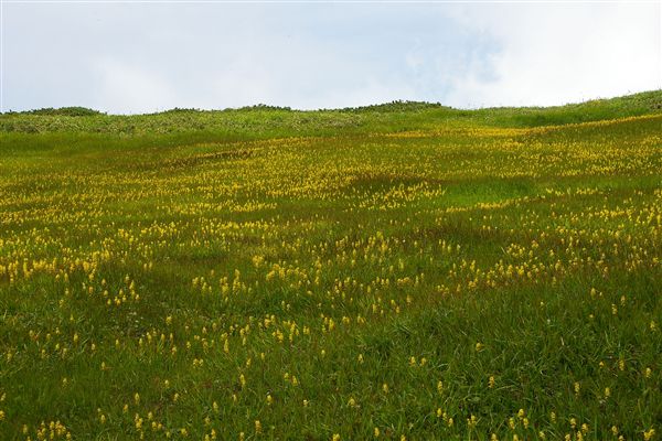 c0081645_21471854.jpg