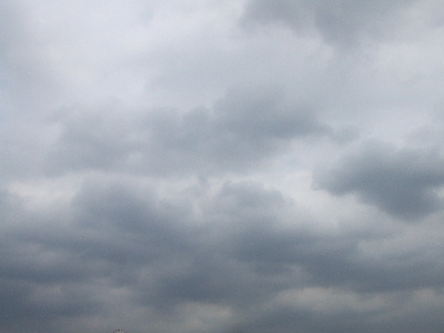 e0121548_1950992.jpg