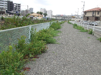 e0121548_195106.jpg
