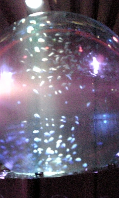 f0008555_058889.jpg