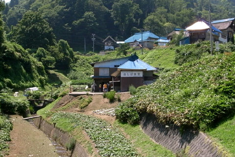 お出迎えして、幻の富倉そば食べて、栃尾のあぶらげ試食ツー　そして夜・・・　ウフフ_a0083760_1344566.jpg