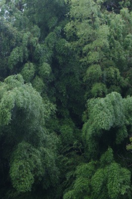d0141365_22253869.jpg