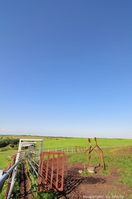 北海道へ　-阿寒湖・多和平-_e0140866_20342886.jpg