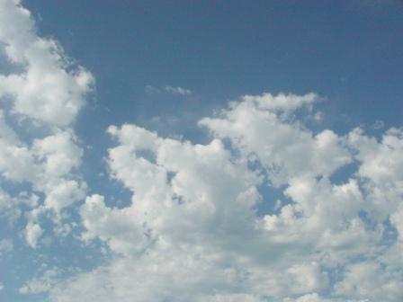 c0102374_3532525.jpg