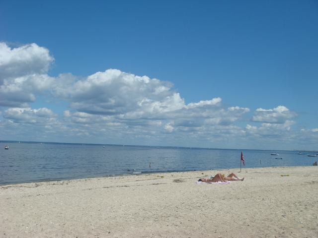 d0100880_21462267.jpg