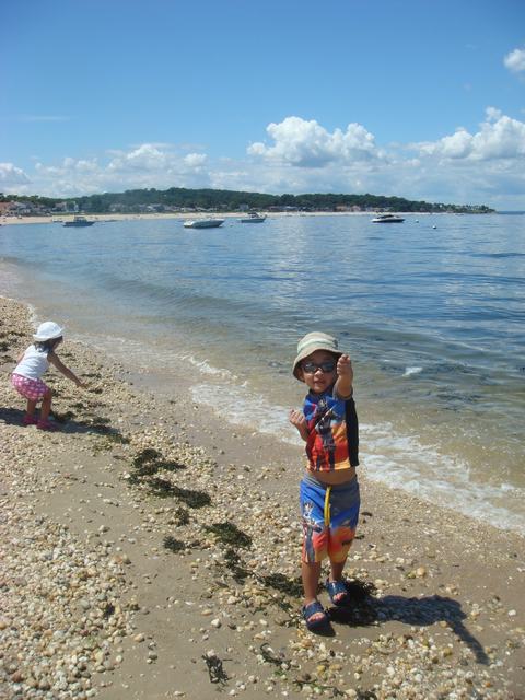 d0100880_229596.jpg